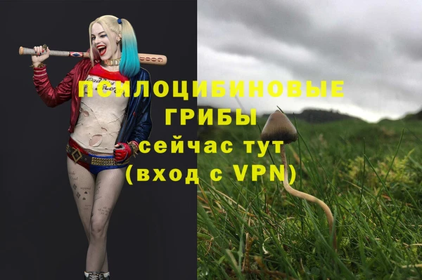 скорость Нефтегорск