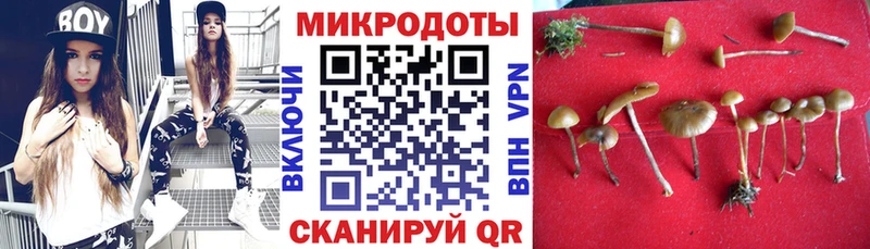 Галлюциногенные грибы MAGIC MUSHROOMS  Сим 